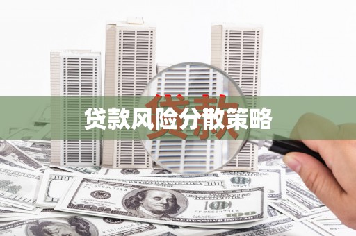 沙湾贷款风险分散策略