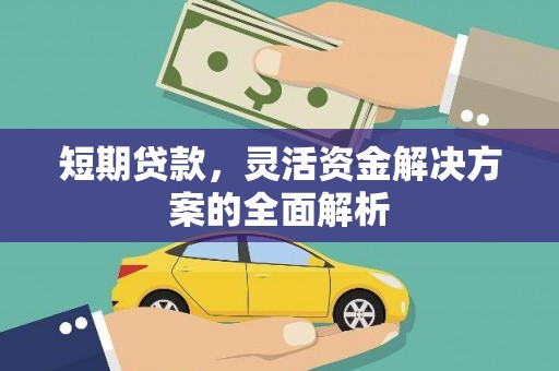 沙湾短期贷款，灵活资金解决方案的全面解析