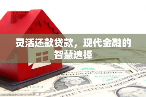 沙湾灵活还款贷款，现代金融的智慧选择
