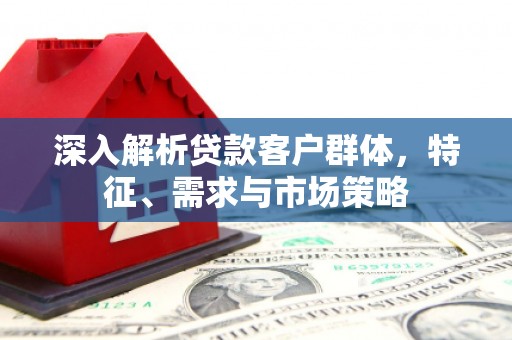 沙湾深入解析贷款客户群体，特征、需求与市场策略