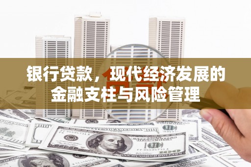 沙湾银行贷款，现代经济发展的金融支柱与风险管理