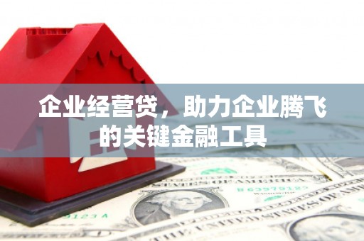 沙湾企业经营贷，助力企业腾飞的关键金融工具