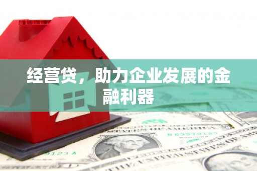 沙湾经营贷，助力企业发展的金融利器