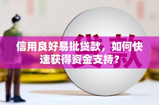 沙湾信用良好易批贷款，如何快速获得资金支持？