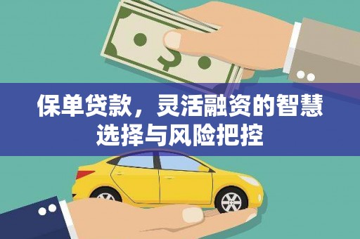 沙湾保单贷款，灵活融资的智慧选择与风险把控