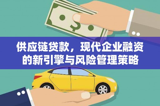 沙湾供应链贷款，现代企业融资的新引擎与风险管理策略