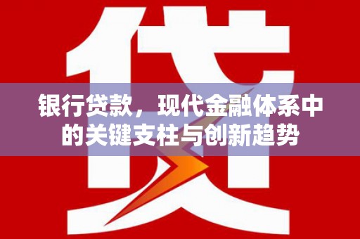 沙湾银行贷款，现代金融体系中的关键支柱与创新趋势