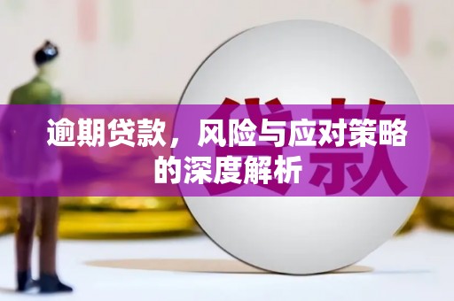 沙湾逾期贷款，风险与应对策略的深度解析