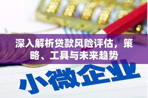 沙湾深入解析贷款风险评估，策略、工具与未来趋势