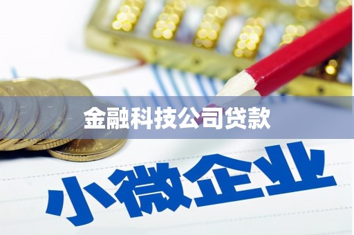 沙湾金融科技公司贷款