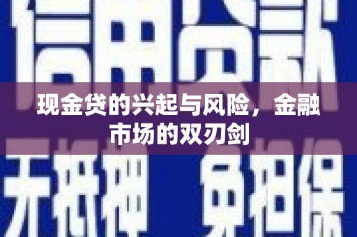 沙湾现金贷的兴起与风险，金融市场的双刃剑