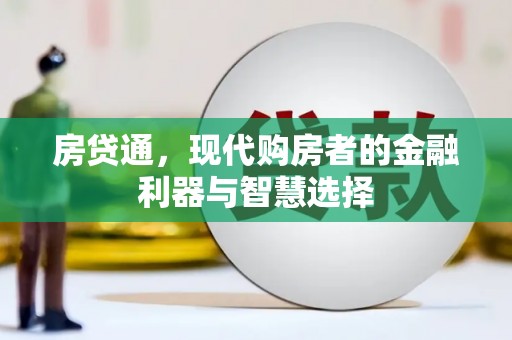 沙湾房贷通，现代购房者的金融利器与智慧选择