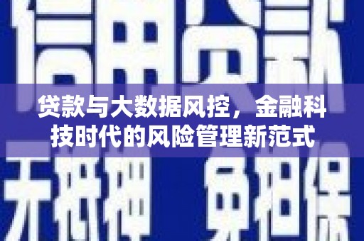 沙湾贷款与大数据风控，金融科技时代的风险管理新范式