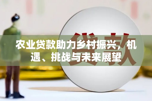 沙湾农业贷款助力乡村振兴，机遇、挑战与未来展望