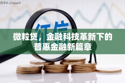 沙湾微粒贷，金融科技革新下的普惠金融新篇章