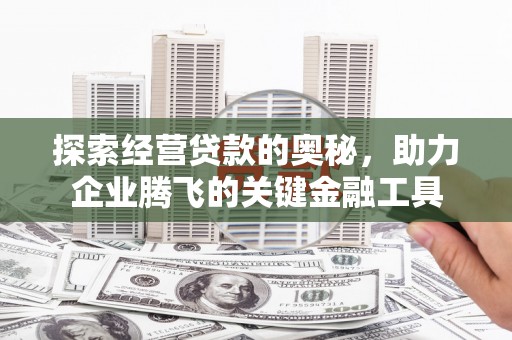 沙湾探索经营贷款的奥秘，助力企业腾飞的关键金融工具