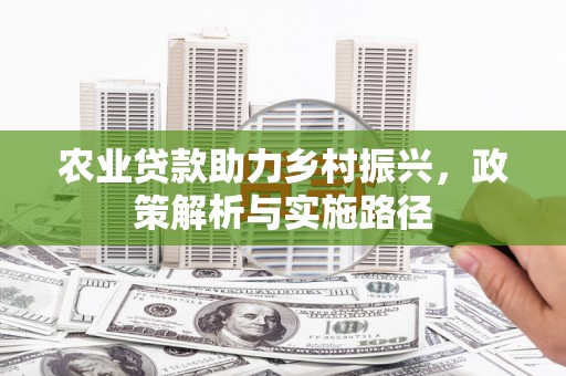 沙湾农业贷款助力乡村振兴，政策解析与实施路径