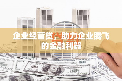 沙湾企业经营贷，助力企业腾飞的金融利器