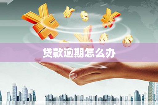 沙湾贷款逾期怎么办