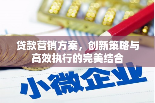 沙湾贷款营销方案，创新策略与高效执行的完美结合