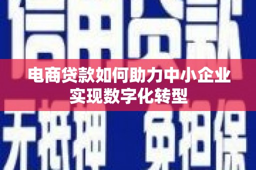沙湾电商贷款如何助力中小企业实现数字化转型