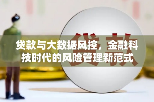 沙湾贷款与大数据风控，金融科技时代的风险管理新范式