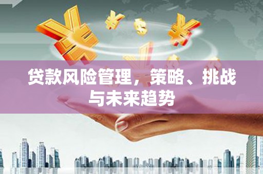 沙湾贷款风险管理，策略、挑战与未来趋势