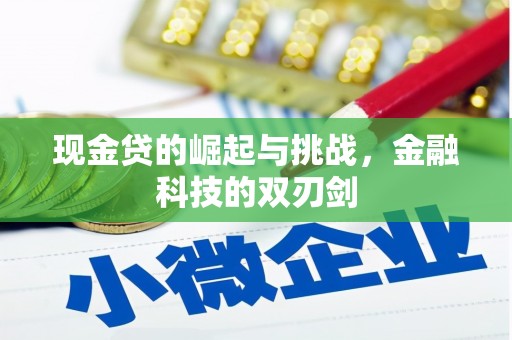 沙湾现金贷的崛起与挑战，金融科技的双刃剑