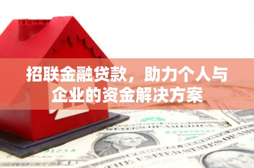 沙湾招联金融贷款，助力个人与企业的资金解决方案