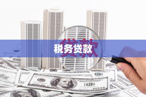 沙湾税务贷款
