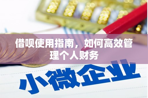 沙湾借呗使用指南，如何高效管理个人财务
