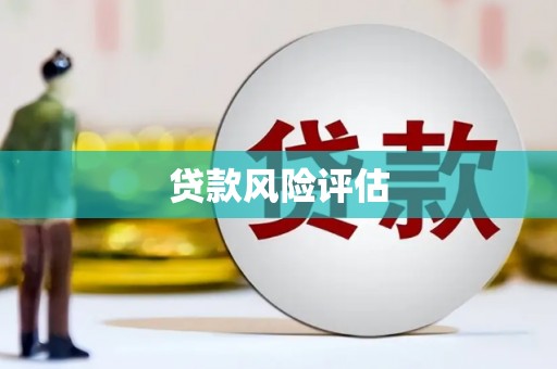 沙湾贷款风险评估