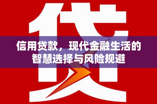 沙湾信用贷款，现代金融生活的智慧选择与风险规避