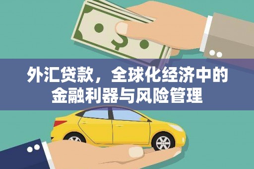 沙湾外汇贷款，全球化经济中的金融利器与风险管理