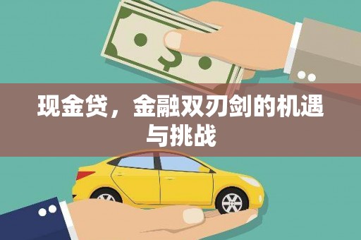 沙湾现金贷，金融双刃剑的机遇与挑战