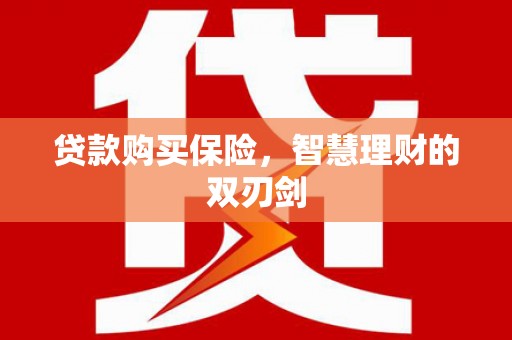 沙湾贷款购买保险，智慧理财的双刃剑