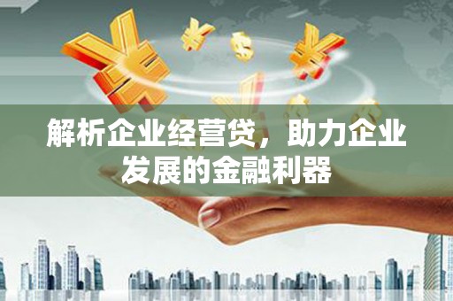 沙湾解析企业经营贷，助力企业发展的金融利器