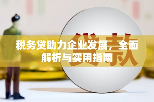 沙湾税务贷助力企业发展，全面解析与实用指南