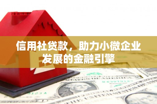 沙湾信用社贷款，助力小微企业发展的金融引擎