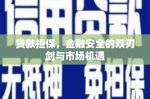 沙湾贷款担保，金融安全的双刃剑与市场机遇