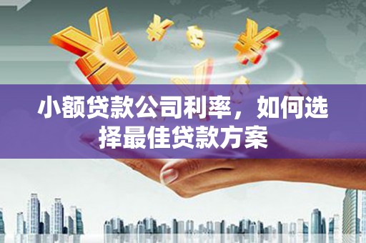 沙湾小额贷款公司利率，如何选择最佳贷款方案