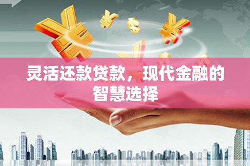 沙湾灵活还款贷款，现代金融的智慧选择