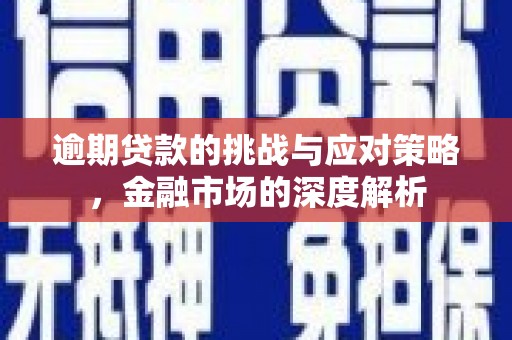沙湾逾期贷款的挑战与应对策略，金融市场的深度解析