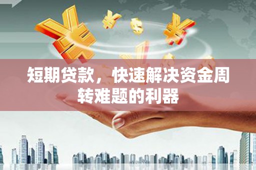 沙湾短期贷款，快速解决资金周转难题的利器