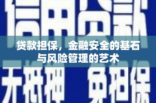沙湾贷款担保，金融安全的基石与风险管理的艺术