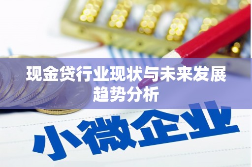 沙湾现金贷行业现状与未来发展趋势分析