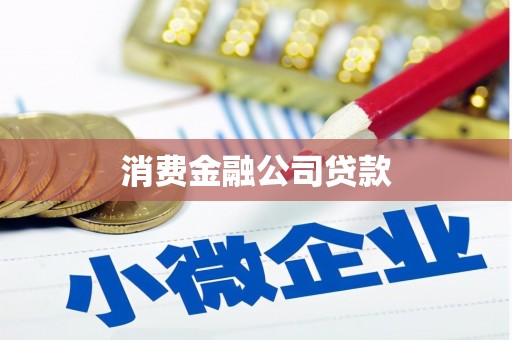 沙湾消费金融公司贷款