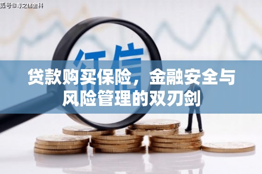 沙湾贷款购买保险，金融安全与风险管理的双刃剑