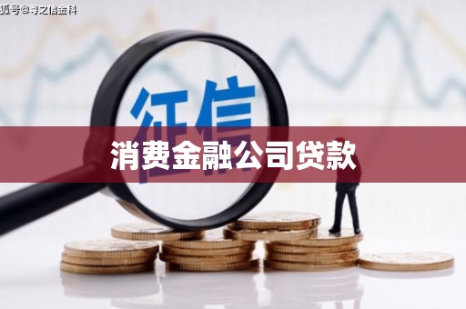 沙湾消费金融公司贷款