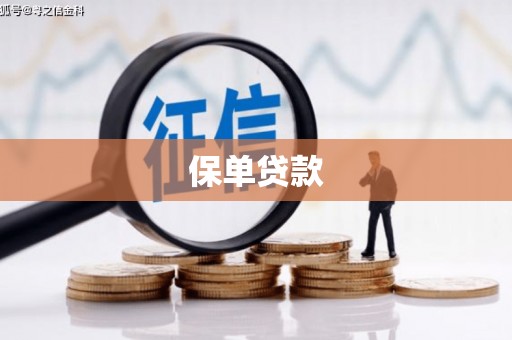 沙湾保单贷款